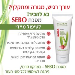 מסכת סבו